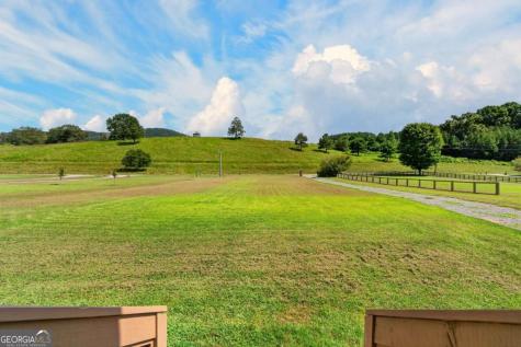 113 Downy Road Blue Ridge GA 30513