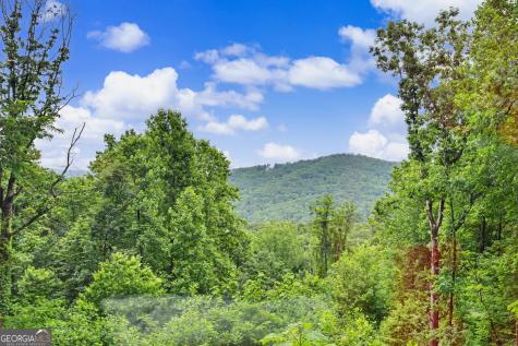 2 Linderhof Lane Clayton GA 30525