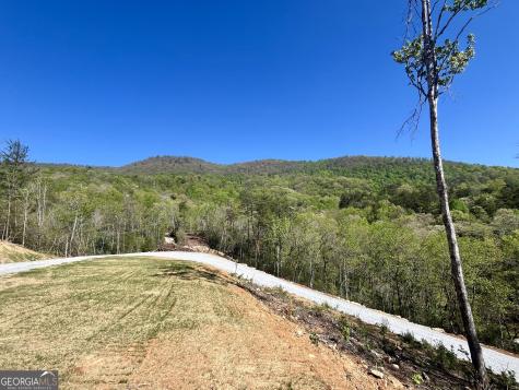 2 Linderhof Lane Clayton GA 30525