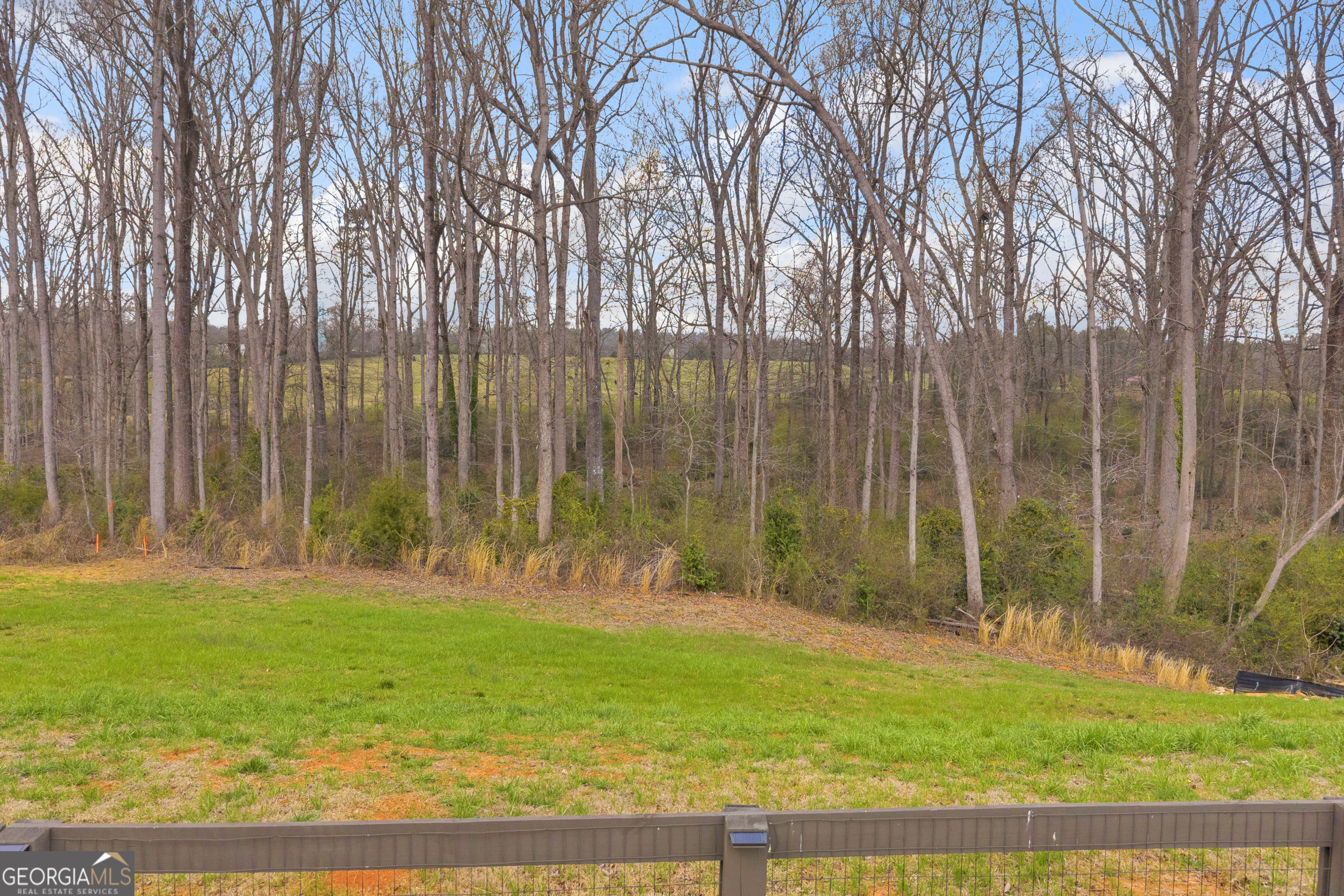 214 Franklin Hills Drive Carnesville GA 30521