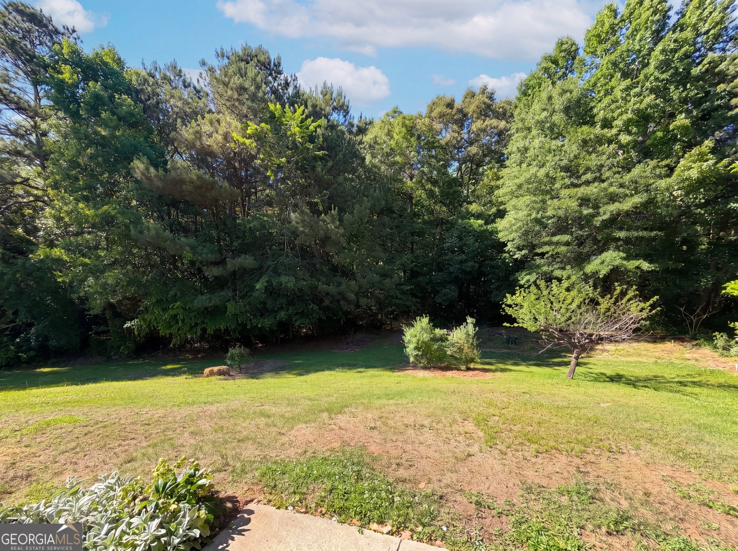 202 Bluff Court Jackson GA 30233