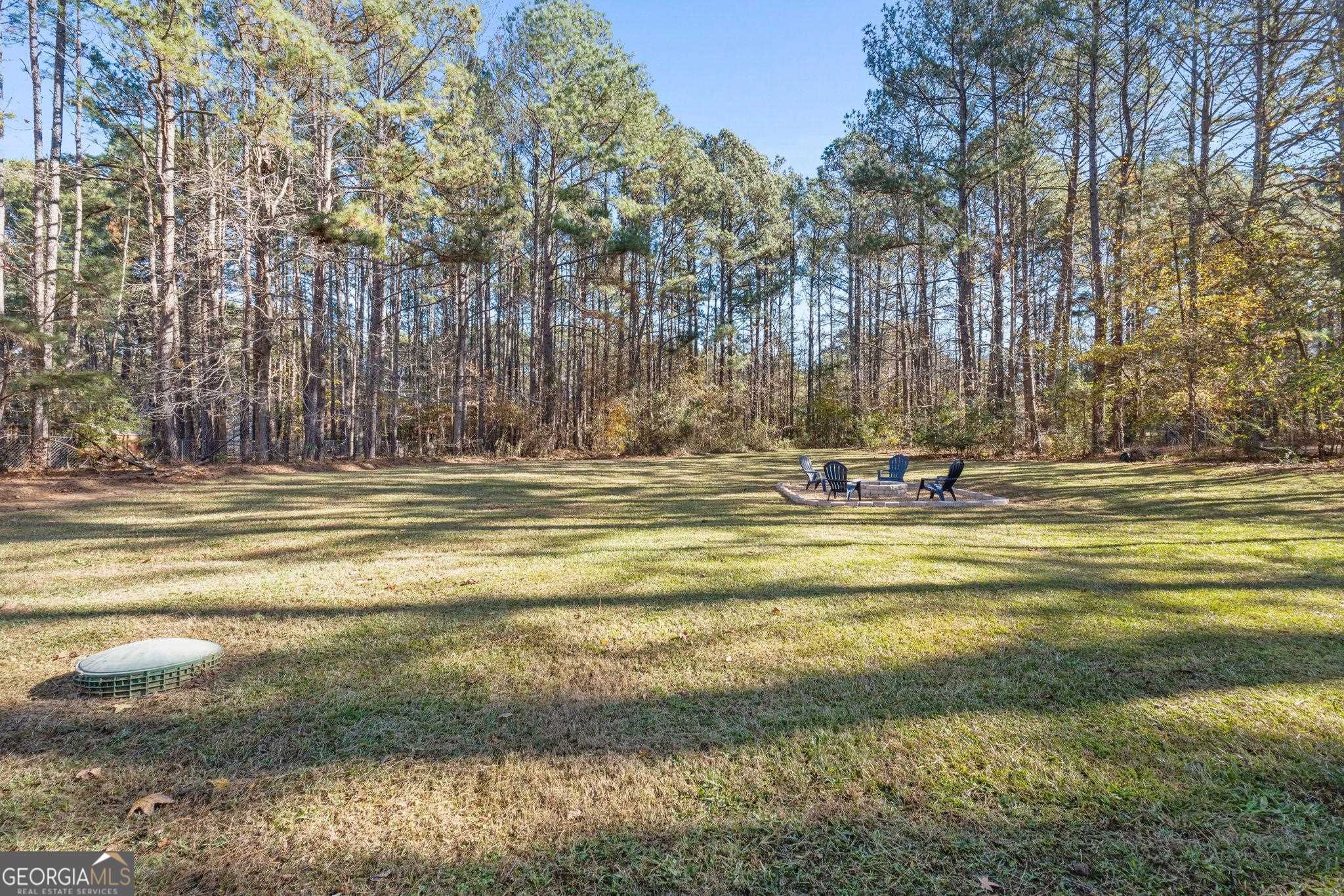 3361 Highway 3 N Hampton GA 30228