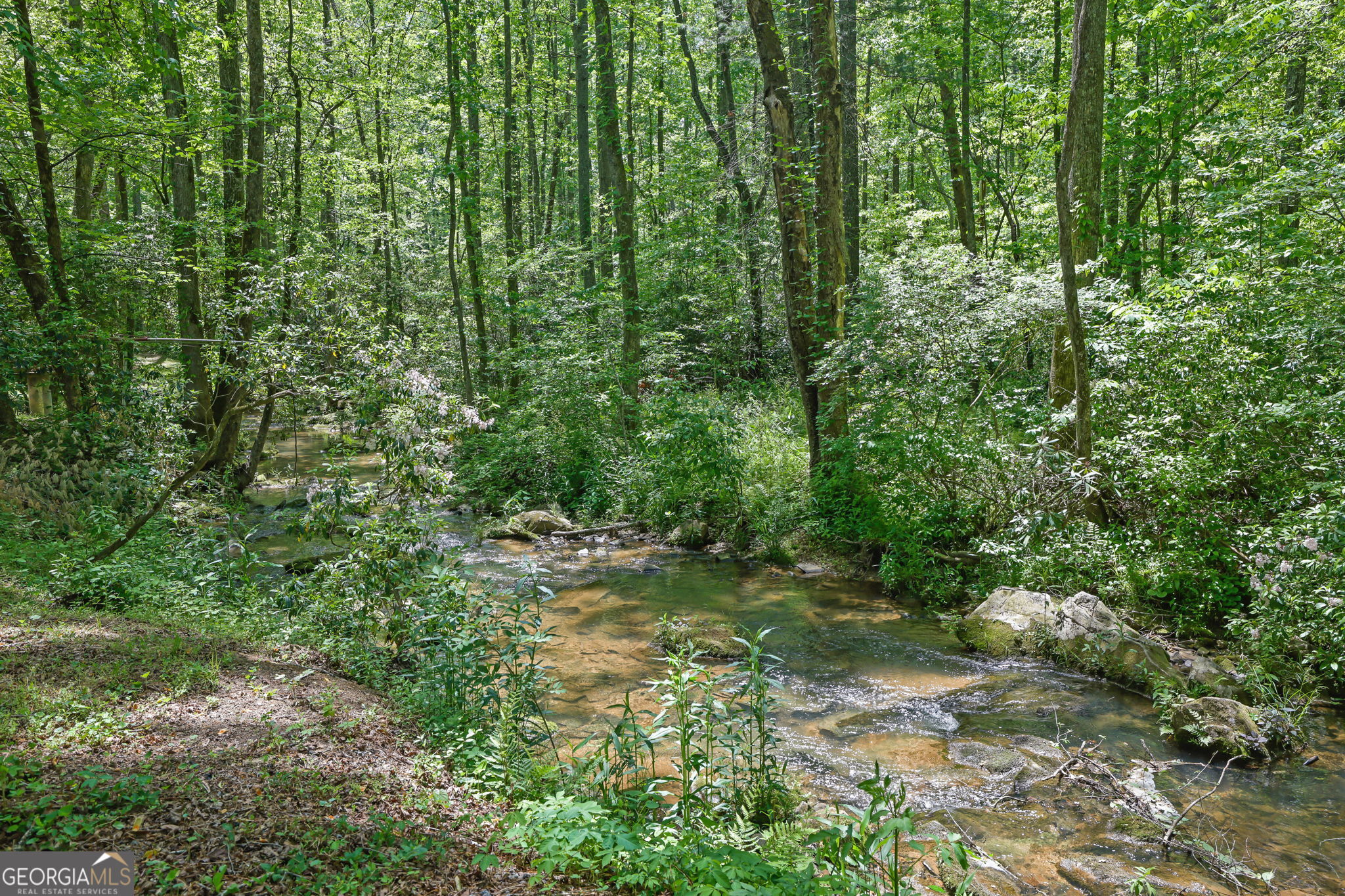 9368 Highway 52 W Dahlonega GA 30533