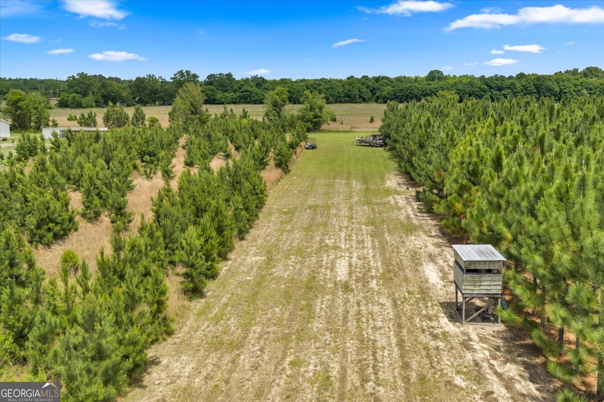 491 Pecan Road Cobb GA 31735