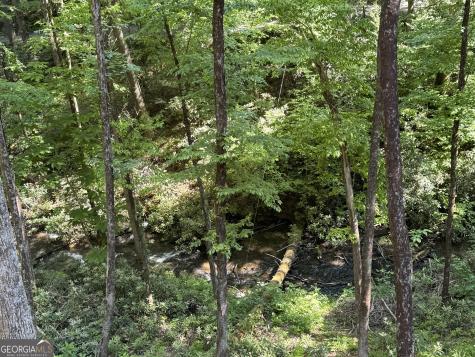 122 Laurel Creek Trail Blue Ridge GA 30513