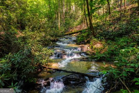 122 Laurel Creek Trail Blue Ridge GA 30513