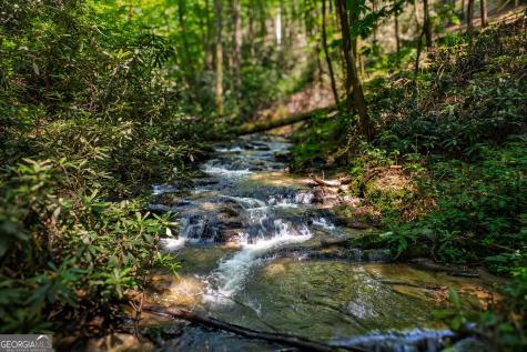 122 Laurel Creek Trail Blue Ridge GA 30513