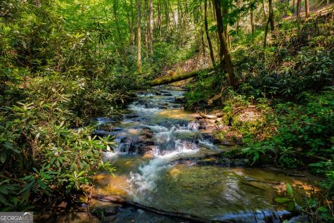 122 Laurel Creek Trail Blue Ridge GA 30513