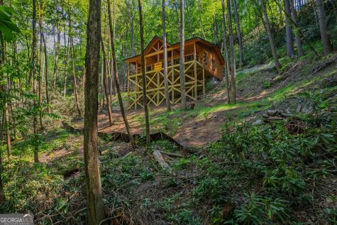 122 Laurel Creek Trail Blue Ridge GA 30513