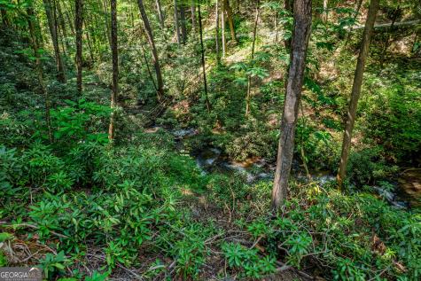 122 Laurel Creek Trail Blue Ridge GA 30513