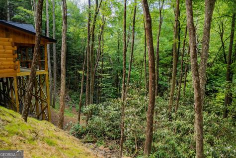122 Laurel Creek Trail Blue Ridge GA 30513