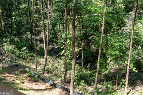 122 Laurel Creek Trail Blue Ridge GA 30513
