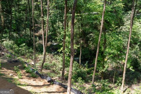 122 Laurel Creek Trail Blue Ridge GA 30513