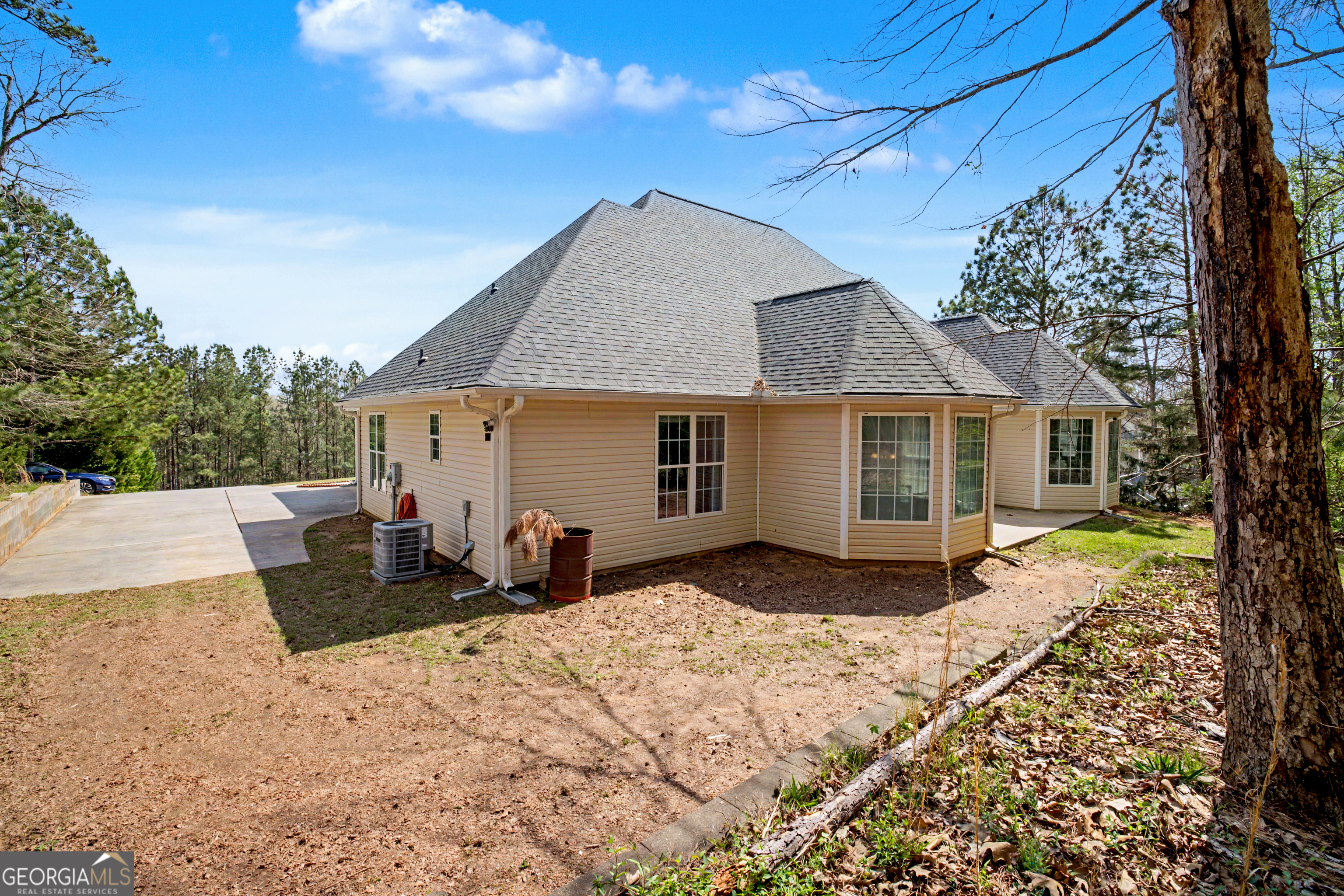170 Alexander Drive Mcdonough GA 30252