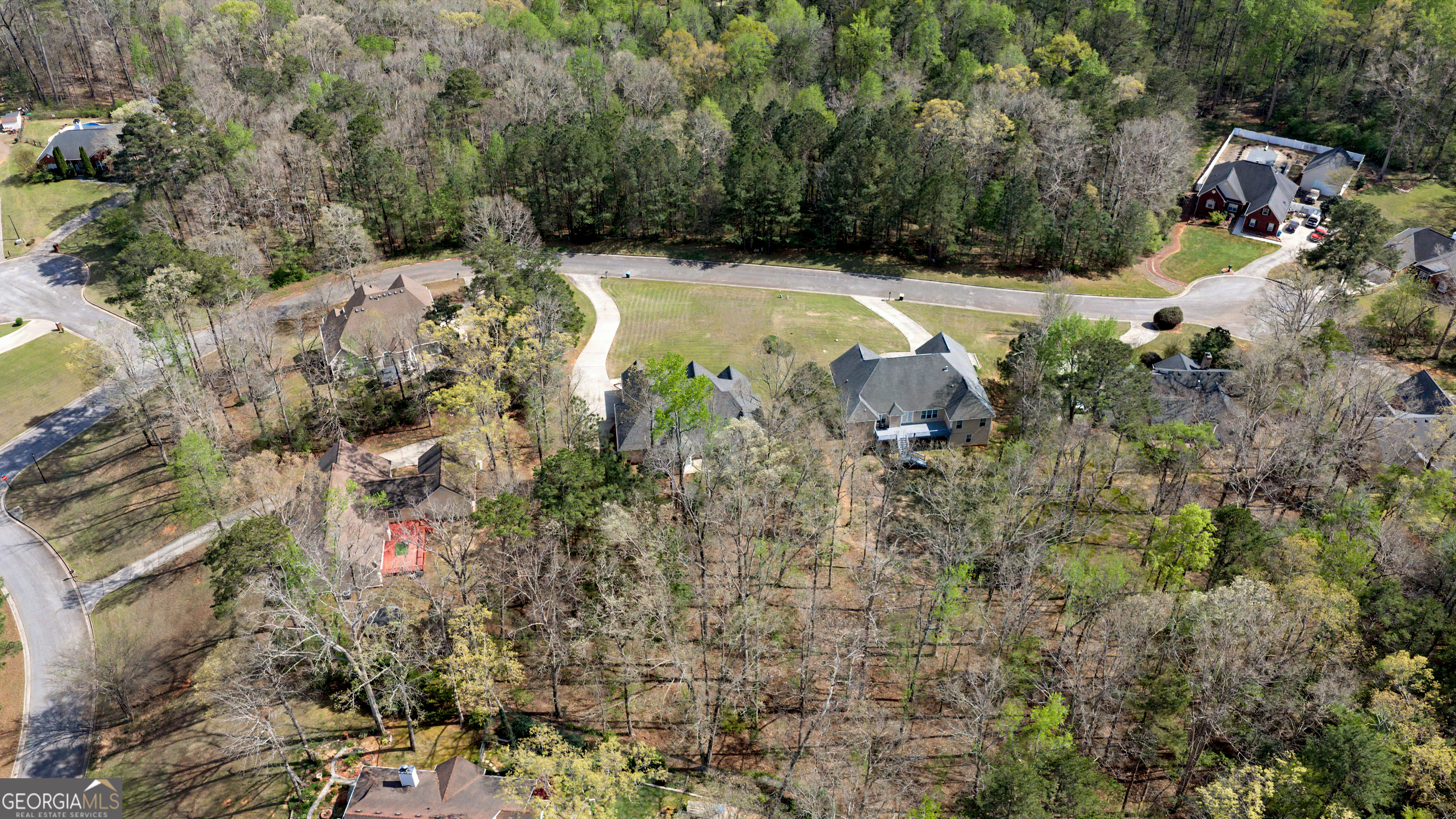 170 Alexander Drive Mcdonough GA 30252