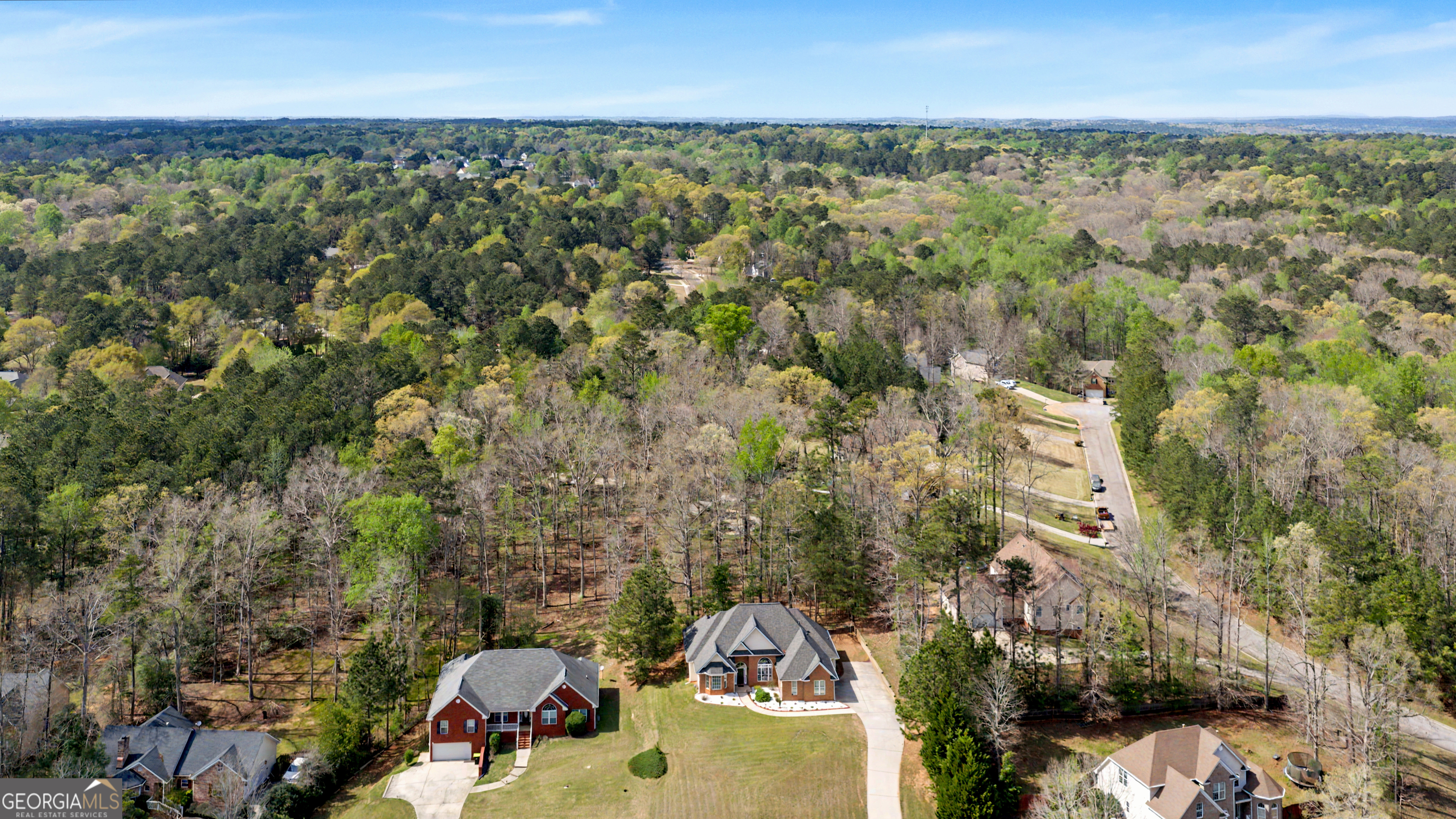 170 Alexander Drive Mcdonough GA 30252