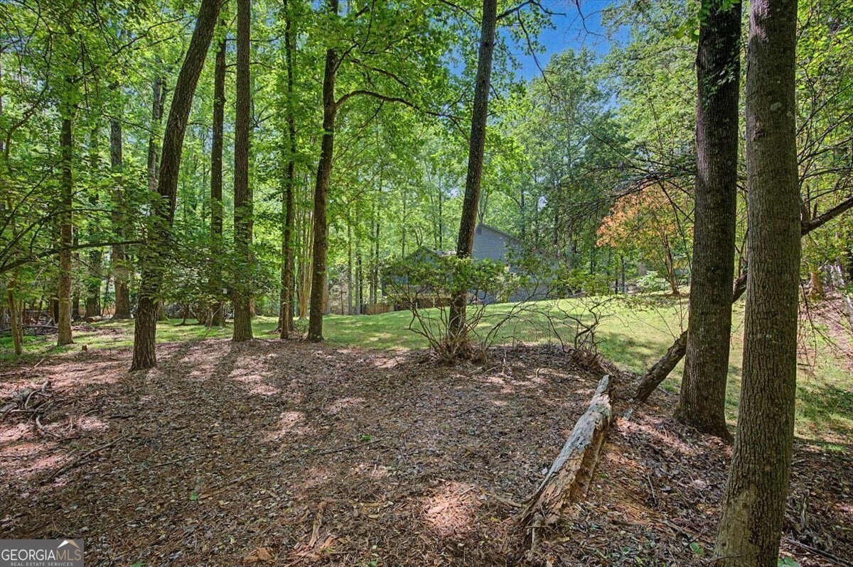 235 Emerald Cove Lane Woodstock GA 30189