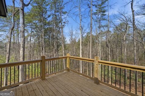 890 Joliet Drive Ellijay GA 30540
