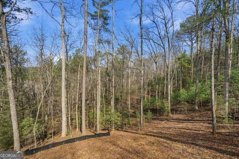 890 Joliet Drive Ellijay GA 30540
