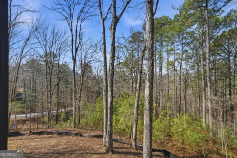 890 Joliet Drive Ellijay GA 30540