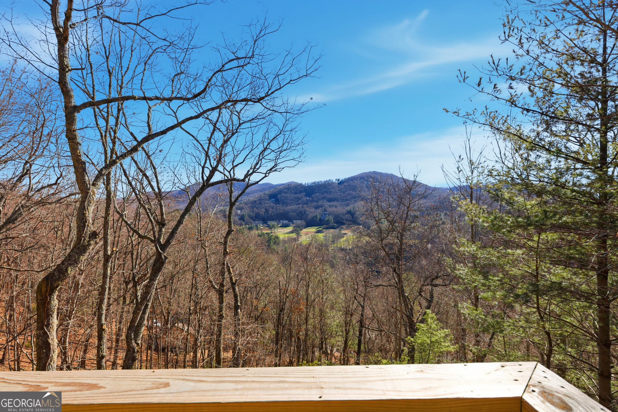 291 Saddleback Circle Sky Valley GA 30537