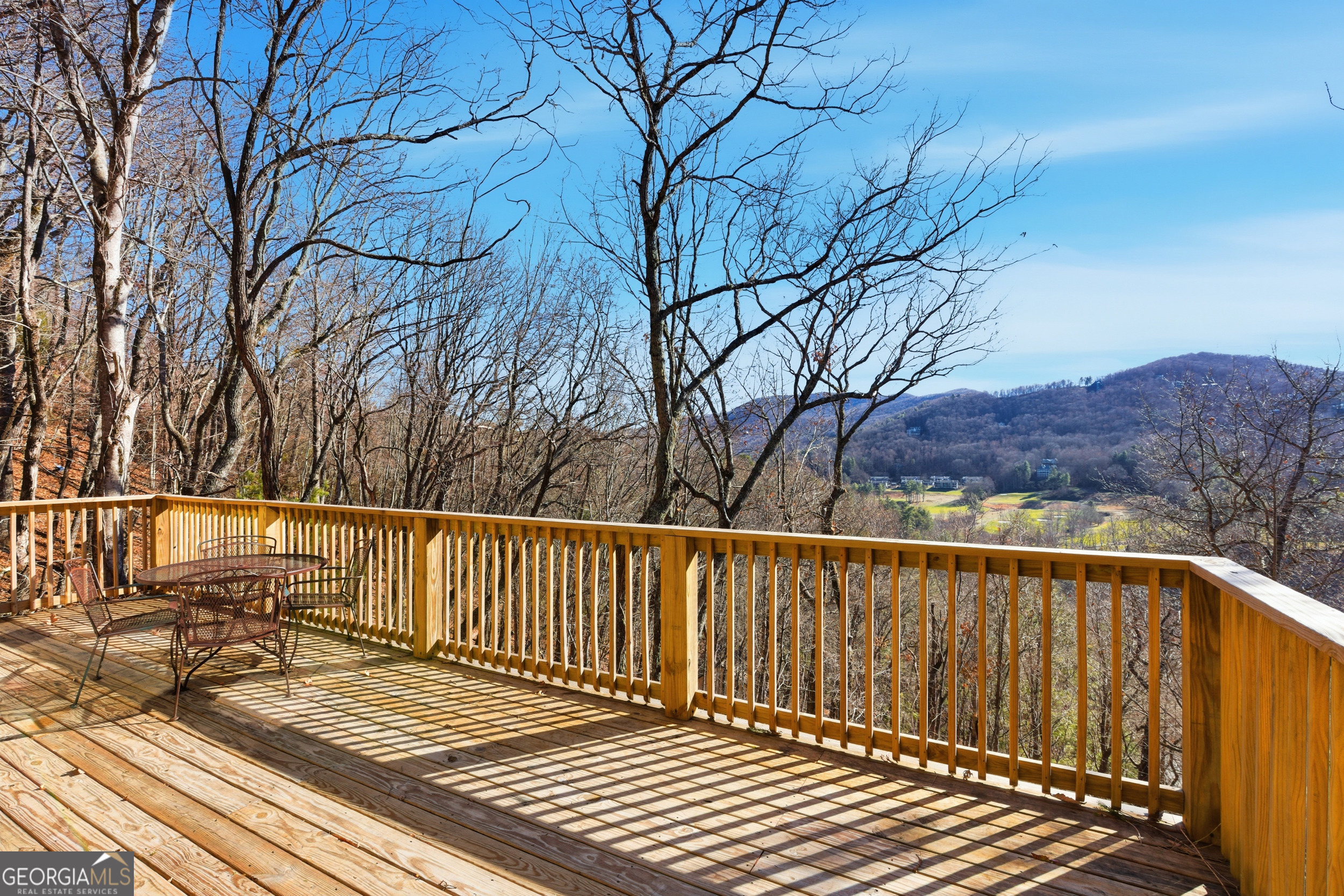 291 Saddleback Circle Sky Valley GA 30537