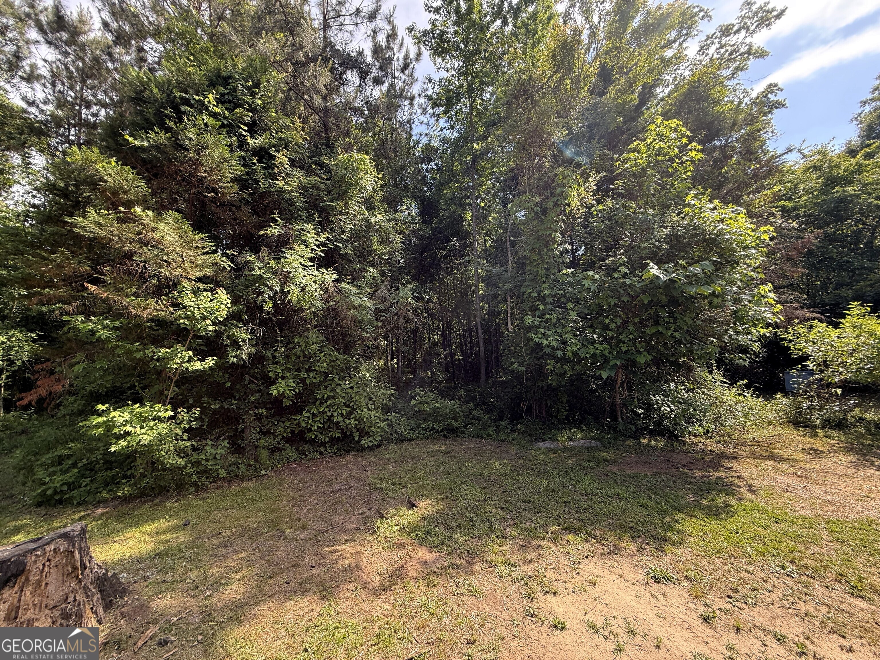 406 Mt Zion Road Bonaire GA 31005