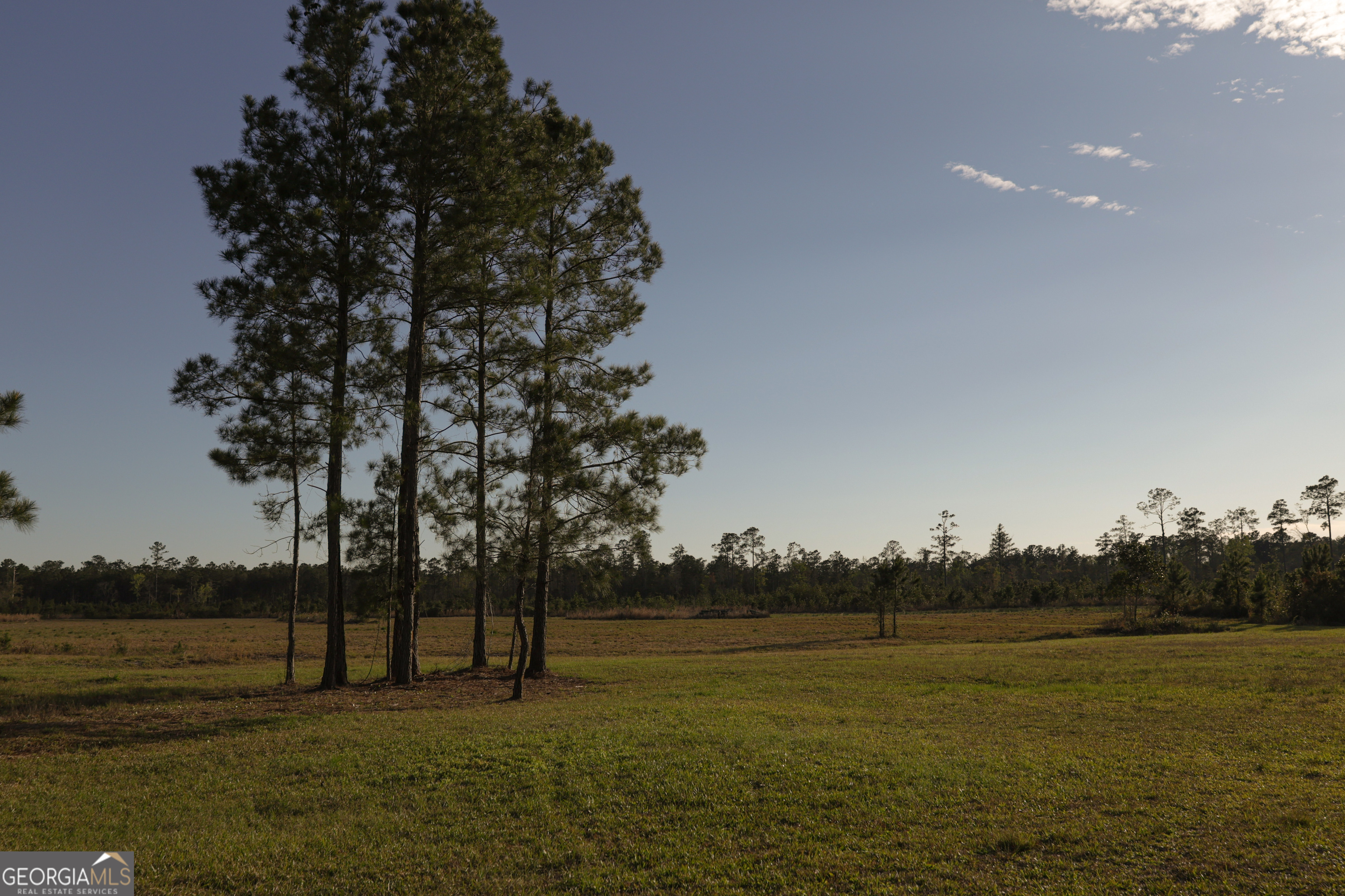 26 Capt Hanks Road Woodbine GA 31569