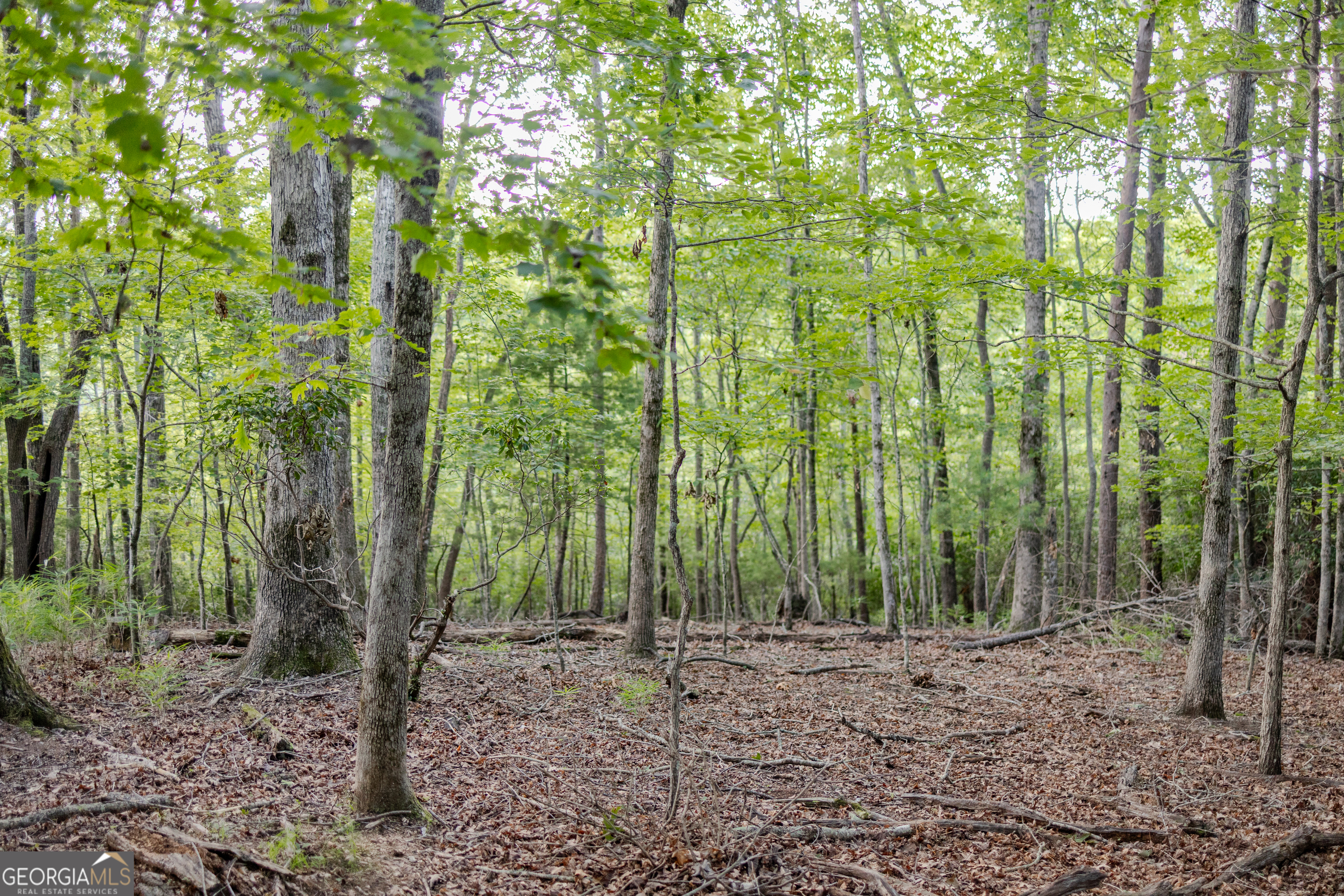 1063 Grindle Bridge Road Dahlonega GA 30533