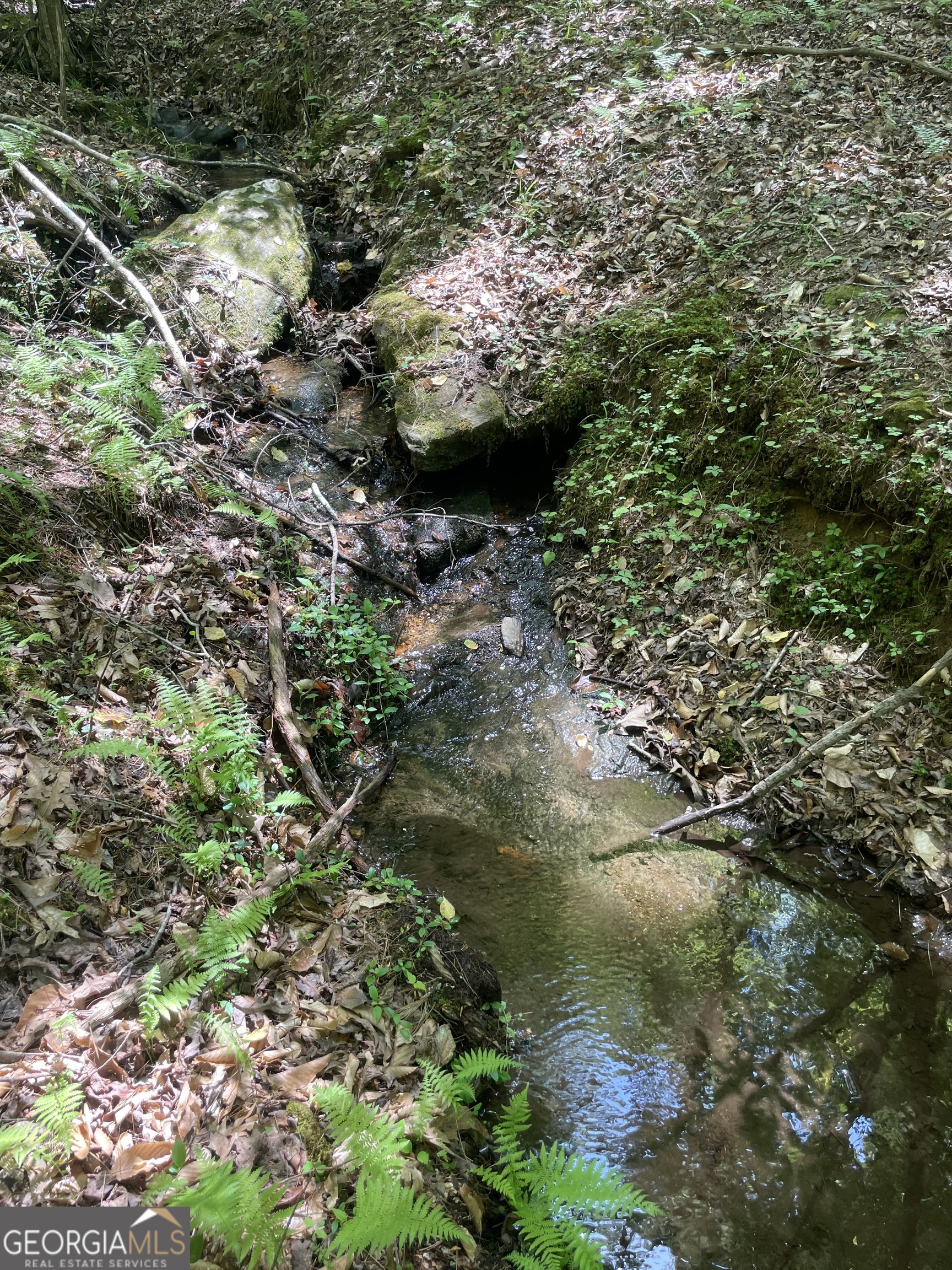 1063 Grindle Bridge Road Dahlonega GA 30533