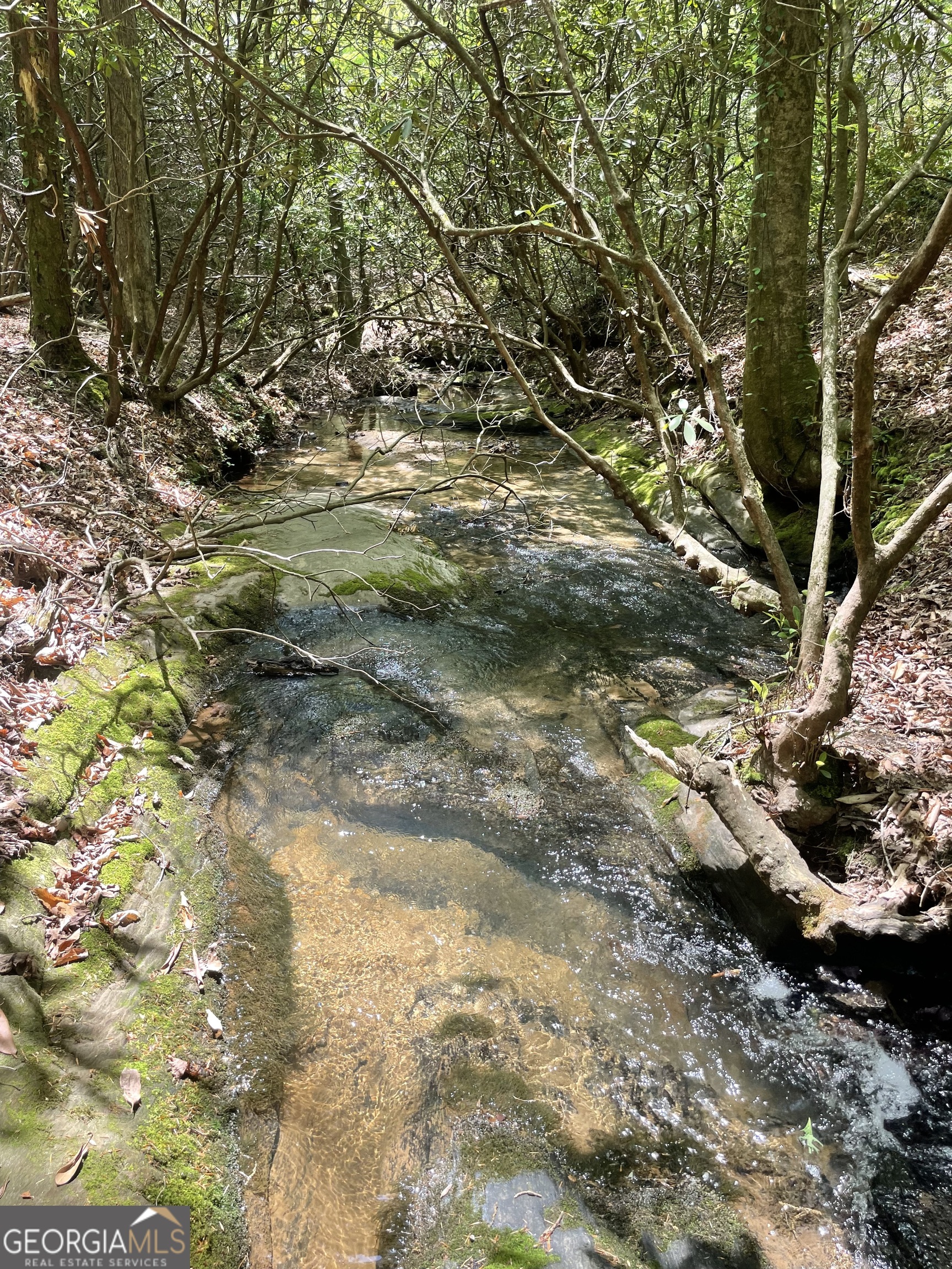 1063 Grindle Bridge Road Dahlonega GA 30533