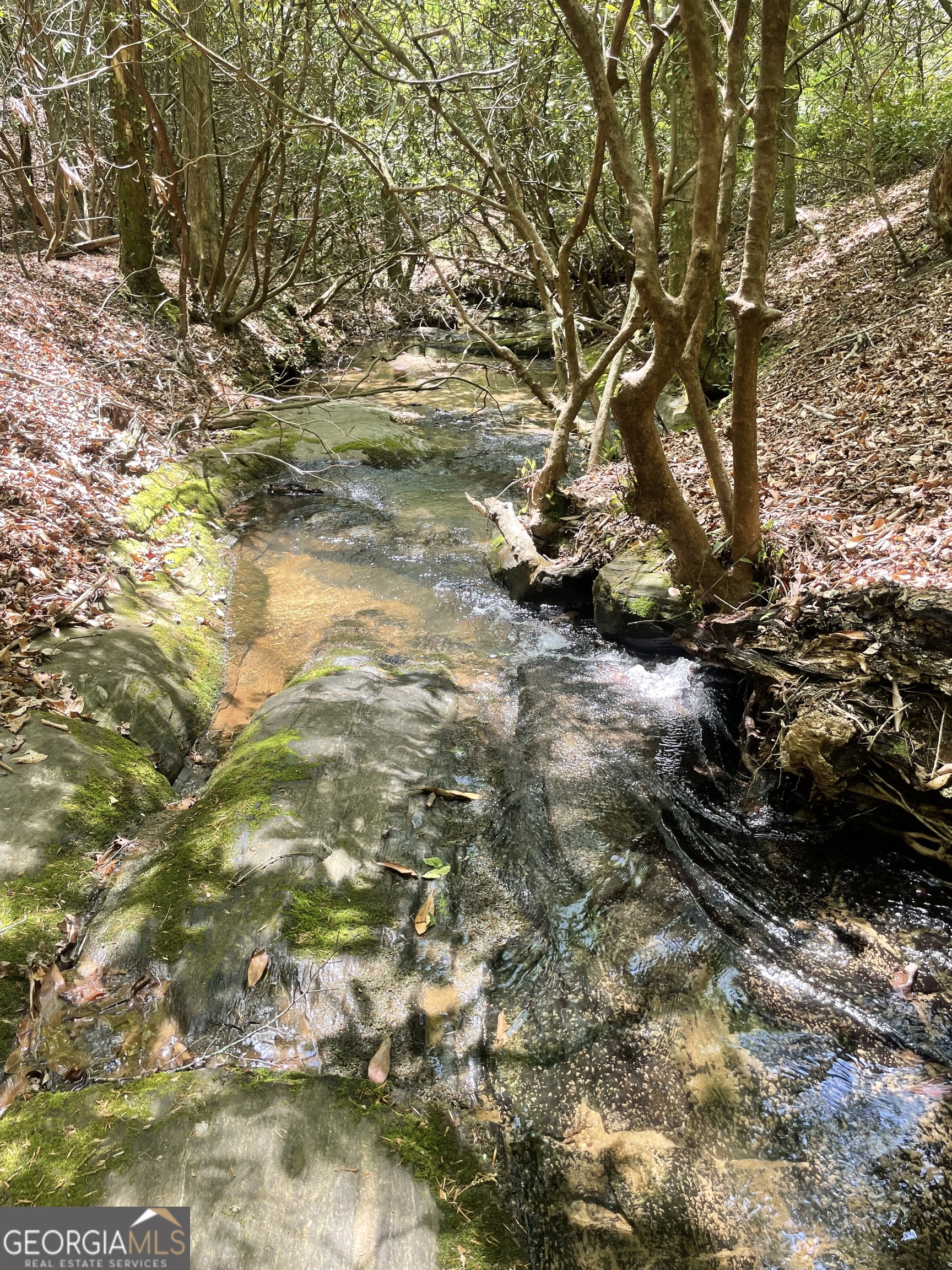 1063 Grindle Bridge Road Dahlonega GA 30533