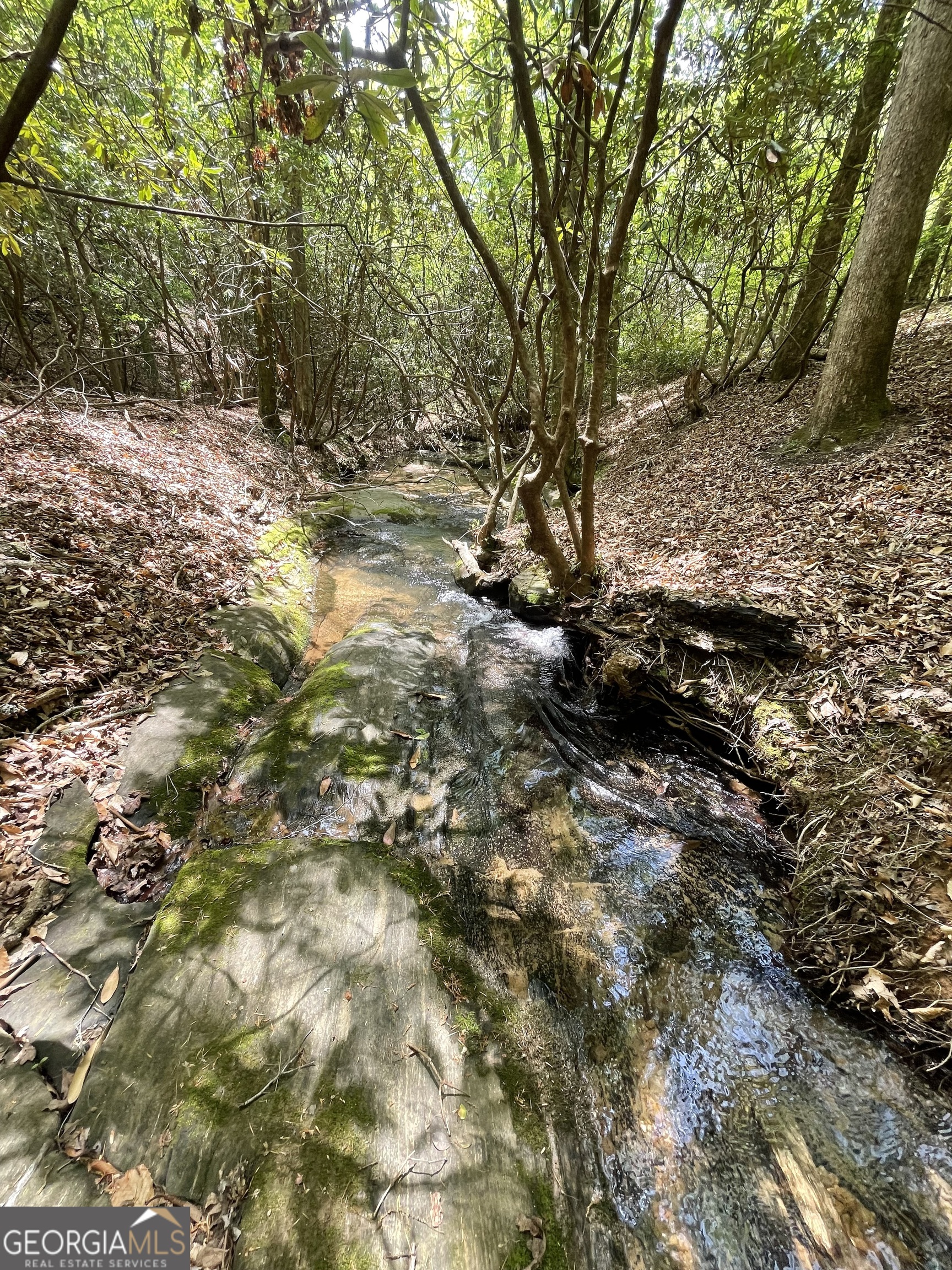 1063 Grindle Bridge Road Dahlonega GA 30533