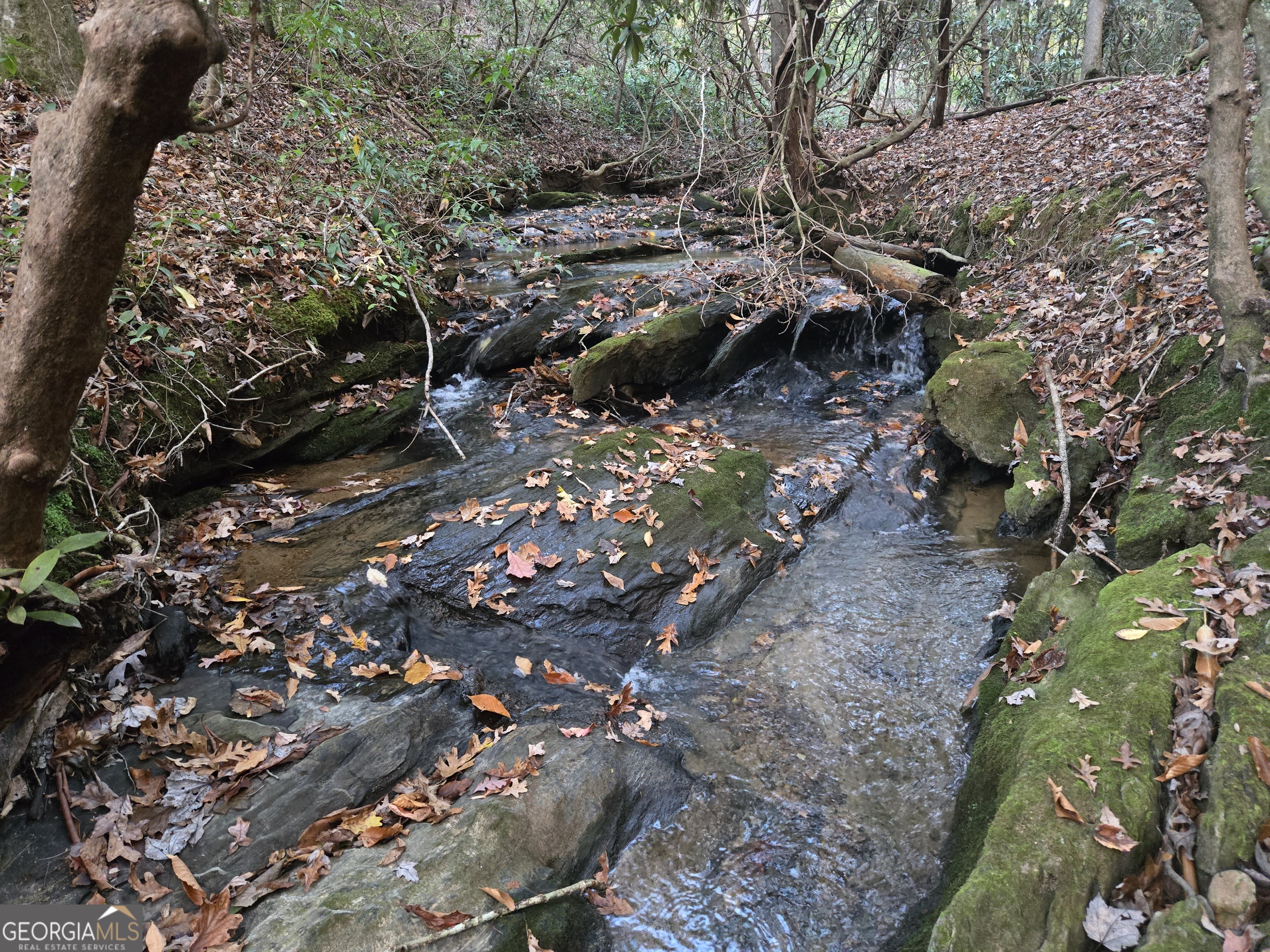 1063 Grindle Bridge Road Dahlonega GA 30533