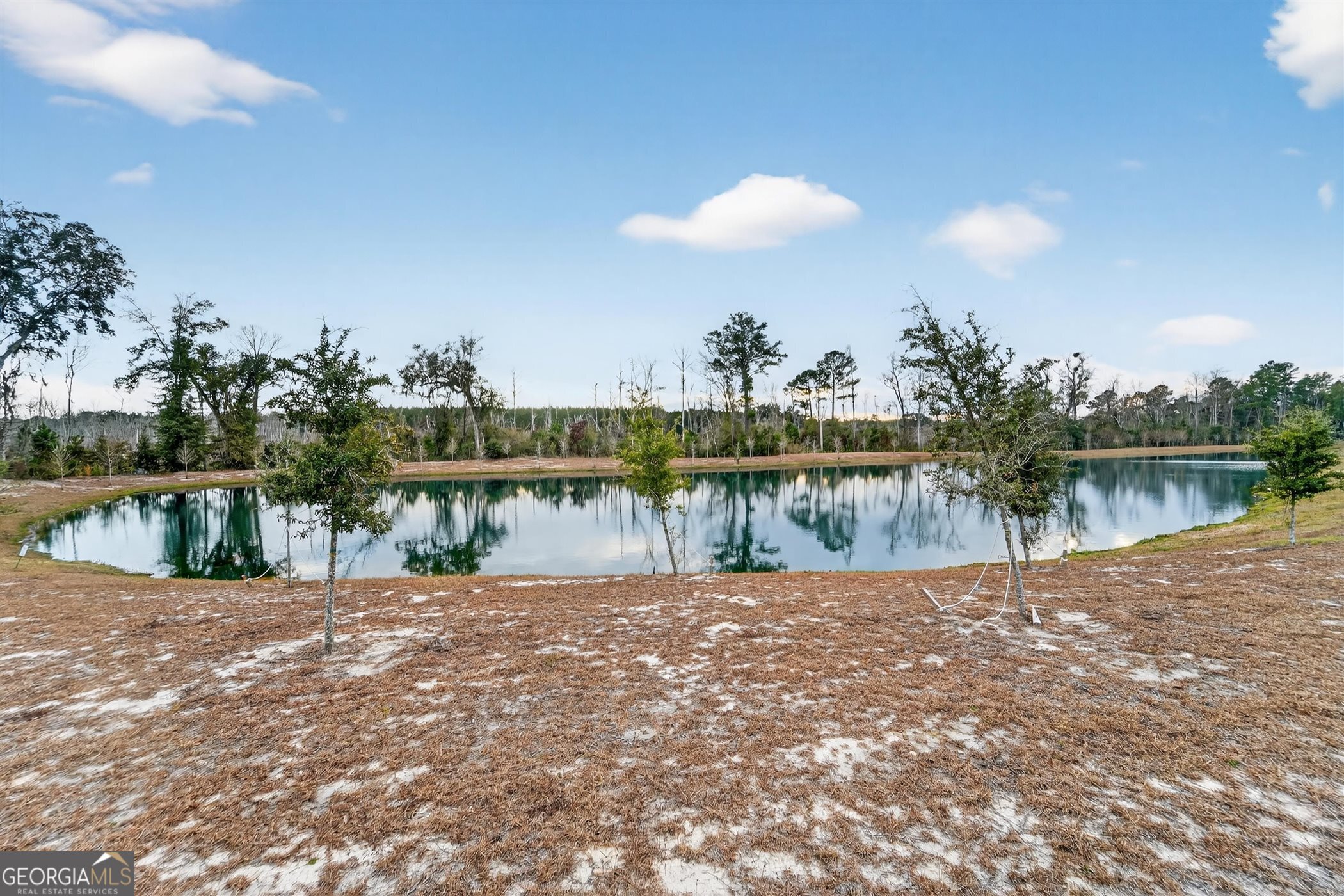 638 Logging Hill Drive Richmond Hill GA 31324