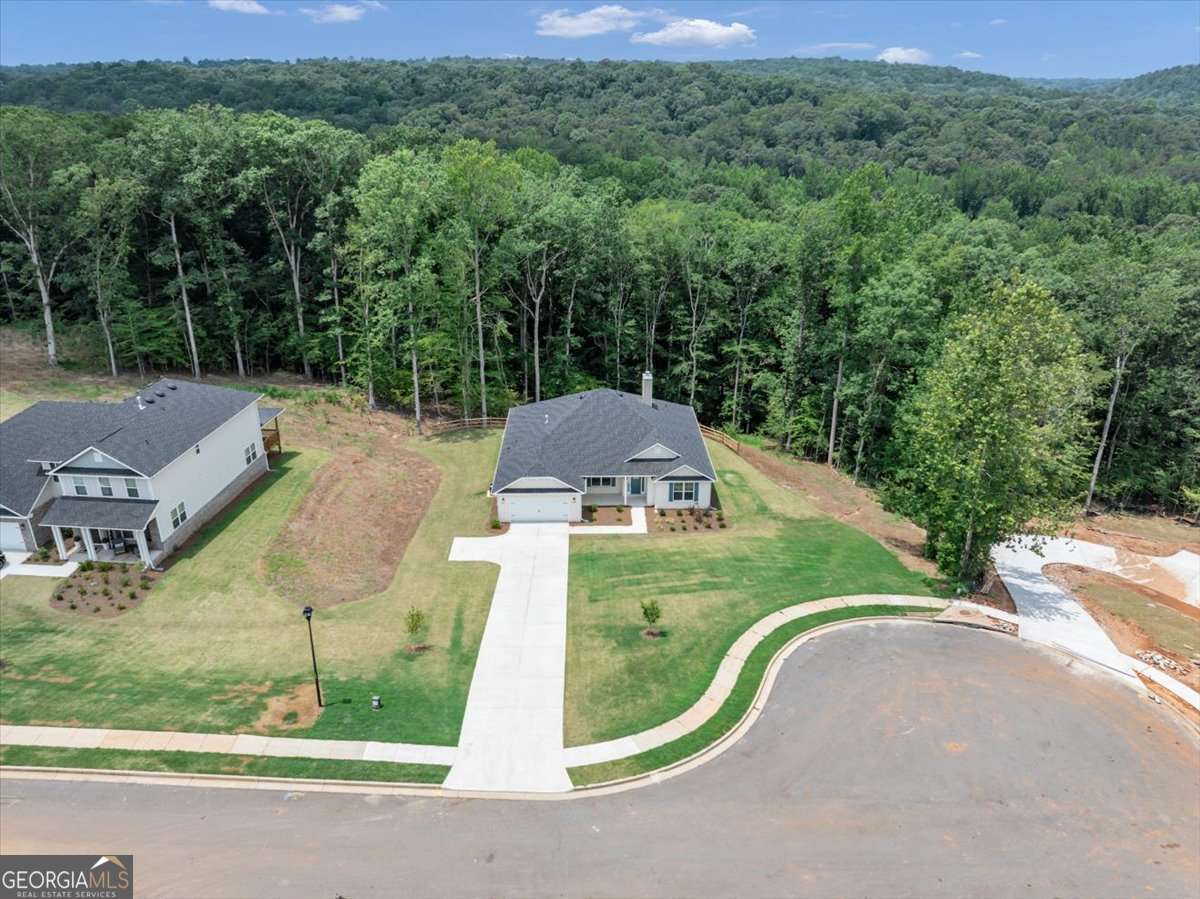 3320 Trevi Trail Douglasville GA 30135
