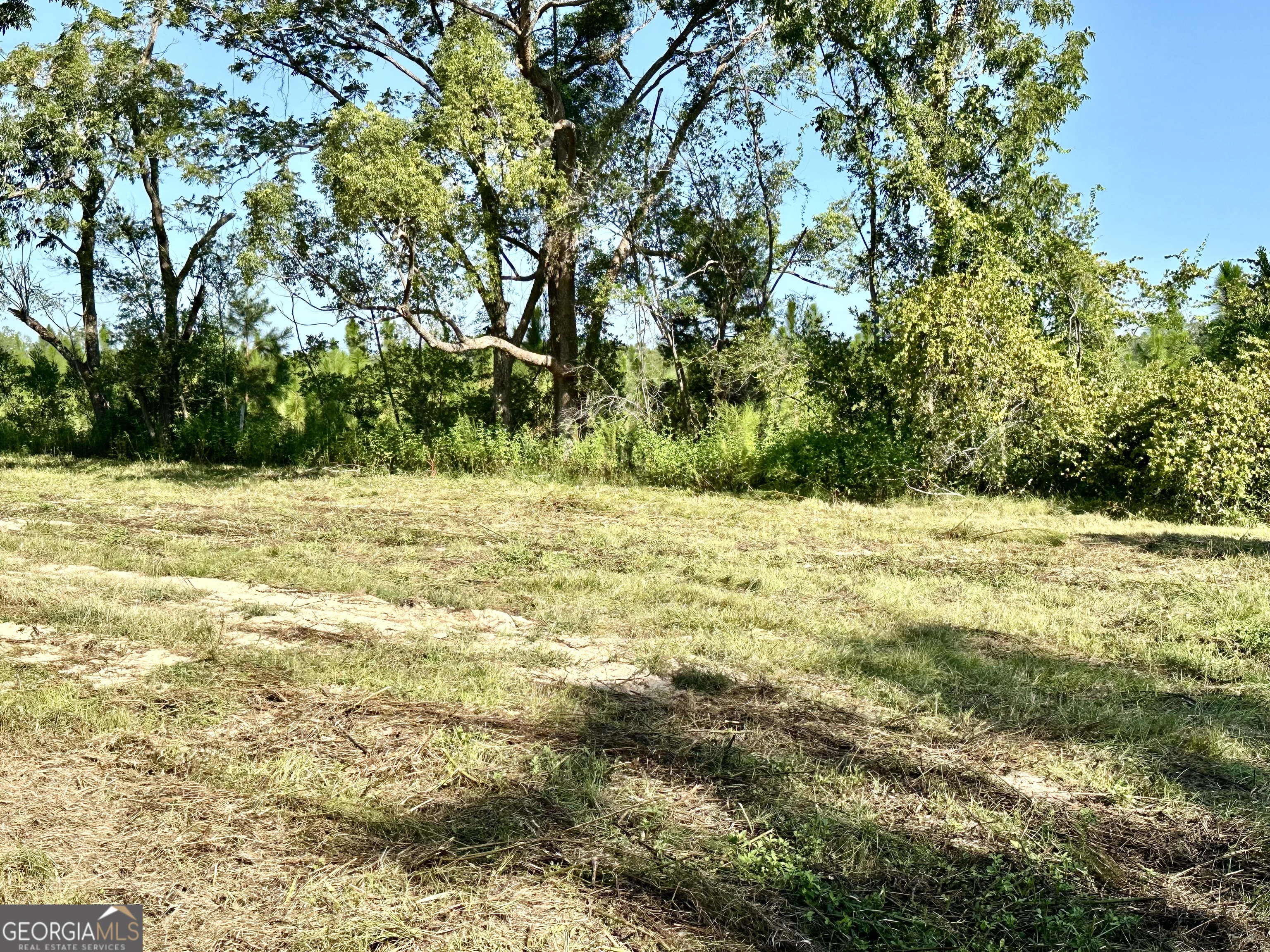 3344 Strickland Avenue Extension Blackshear GA 31516