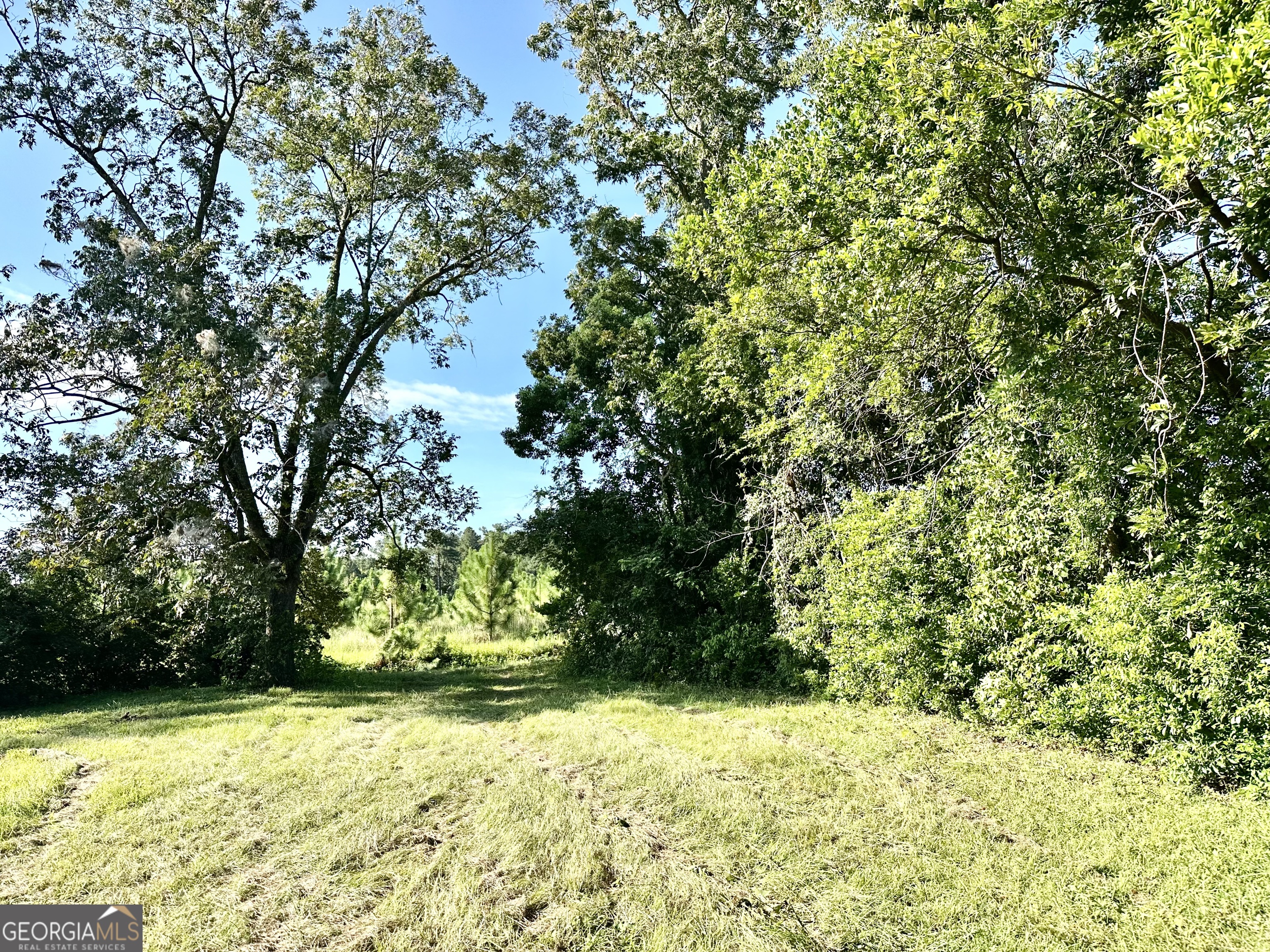 3344 Strickland Avenue Extension Blackshear GA 31516
