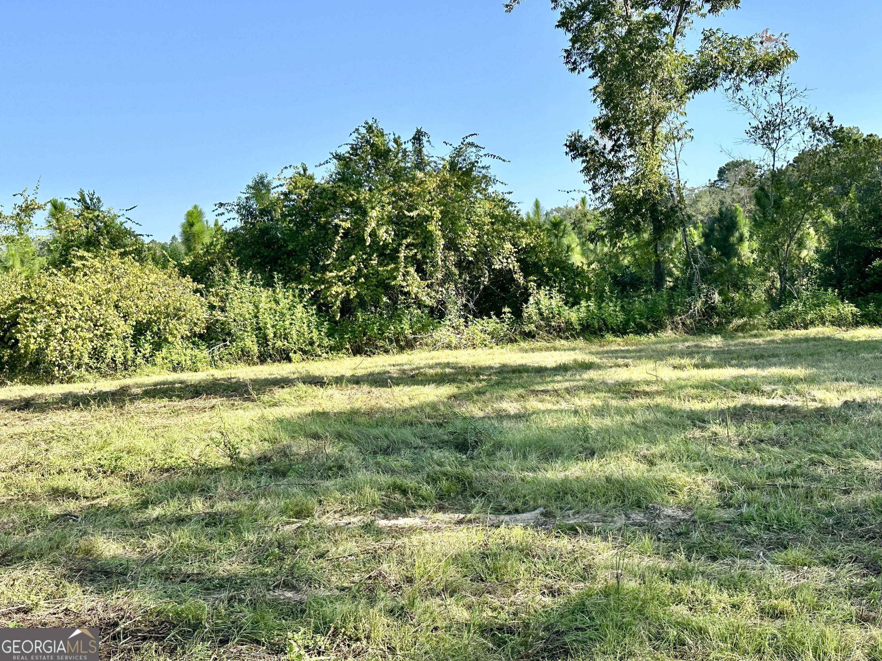 3344 Strickland Avenue Extension Blackshear GA 31516