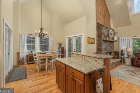 31 Nahunta Court Ellijay GA 30540