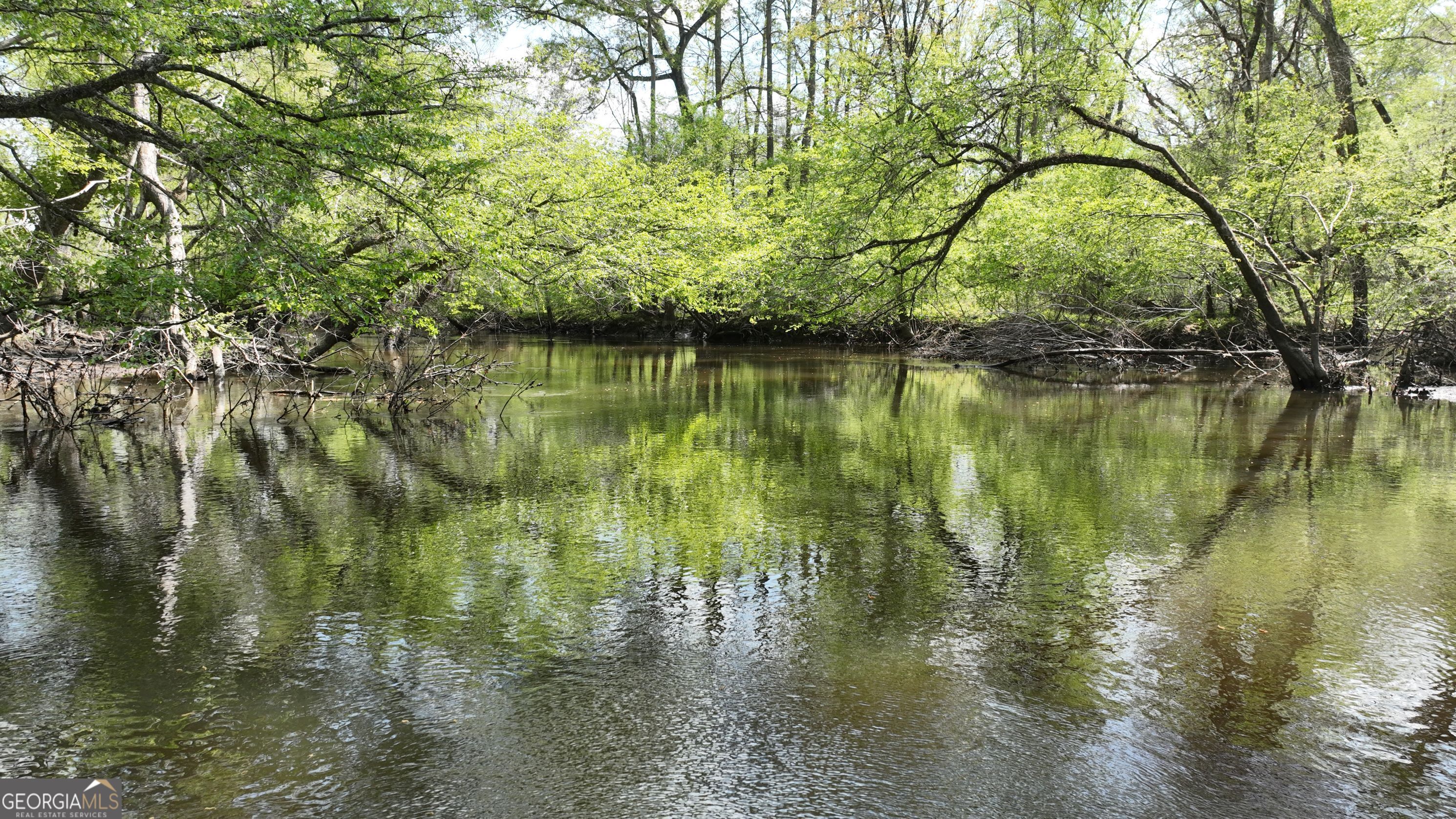 1082 River Street Bartow GA 30413