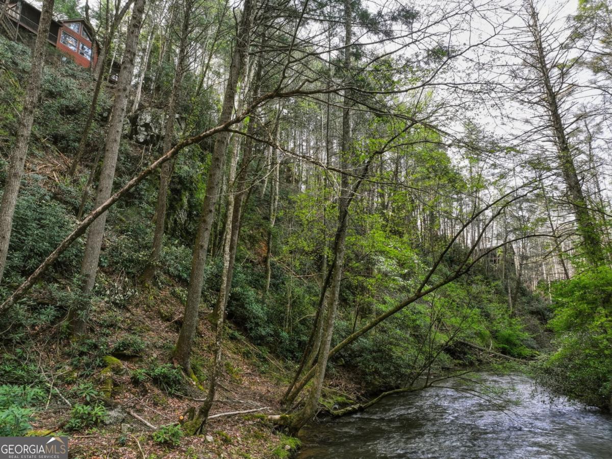 58 River Road Cherry Log GA 30522