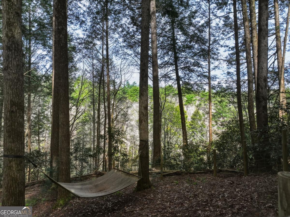 58 River Road Cherry Log GA 30522
