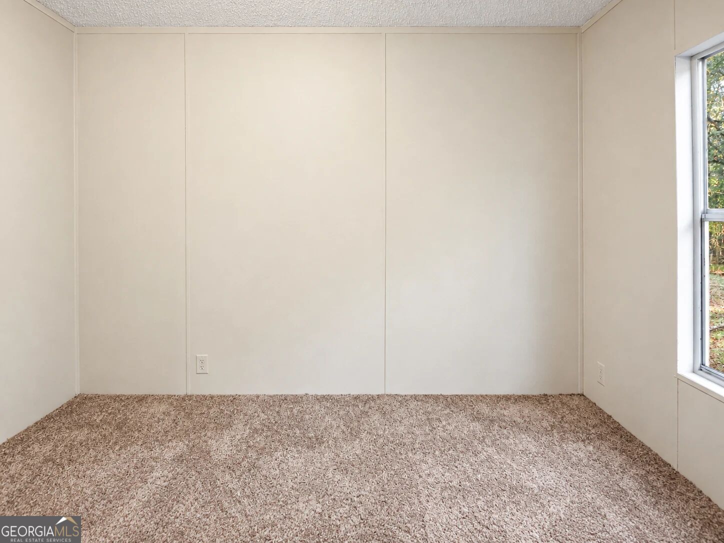 3593 B B Lane Millen GA 30442