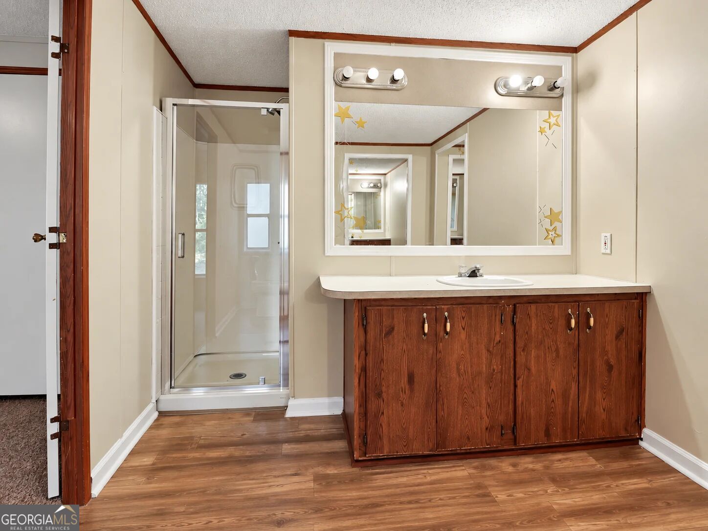 3593 B B Lane Millen GA 30442