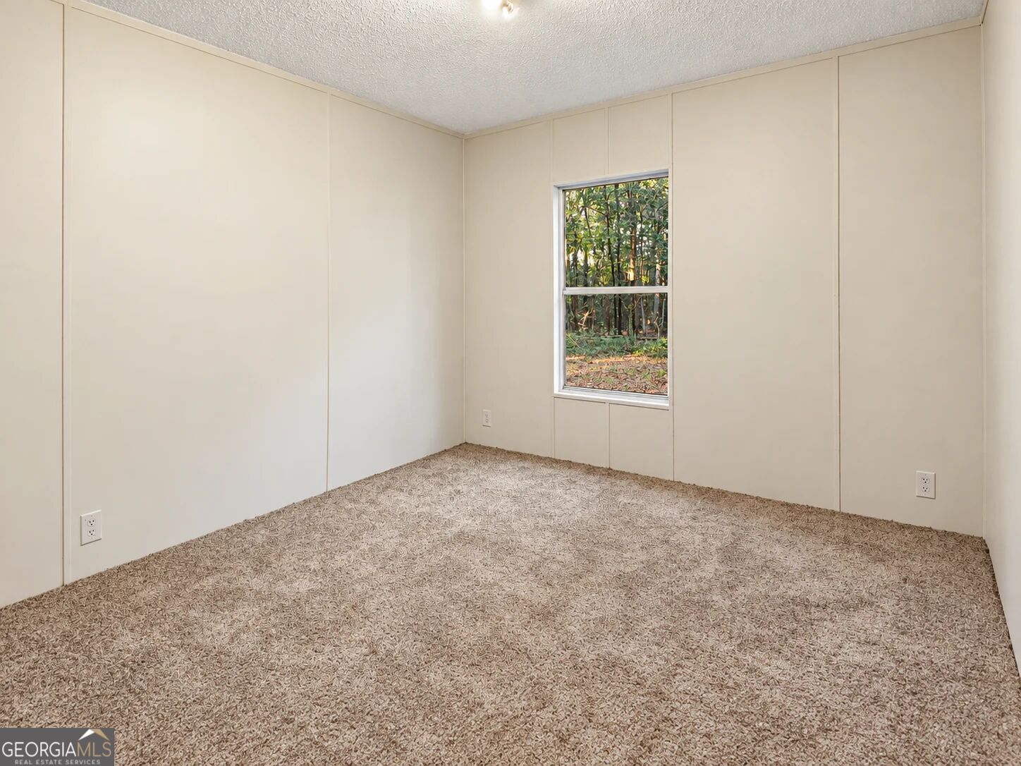 3593 B B Lane Millen GA 30442