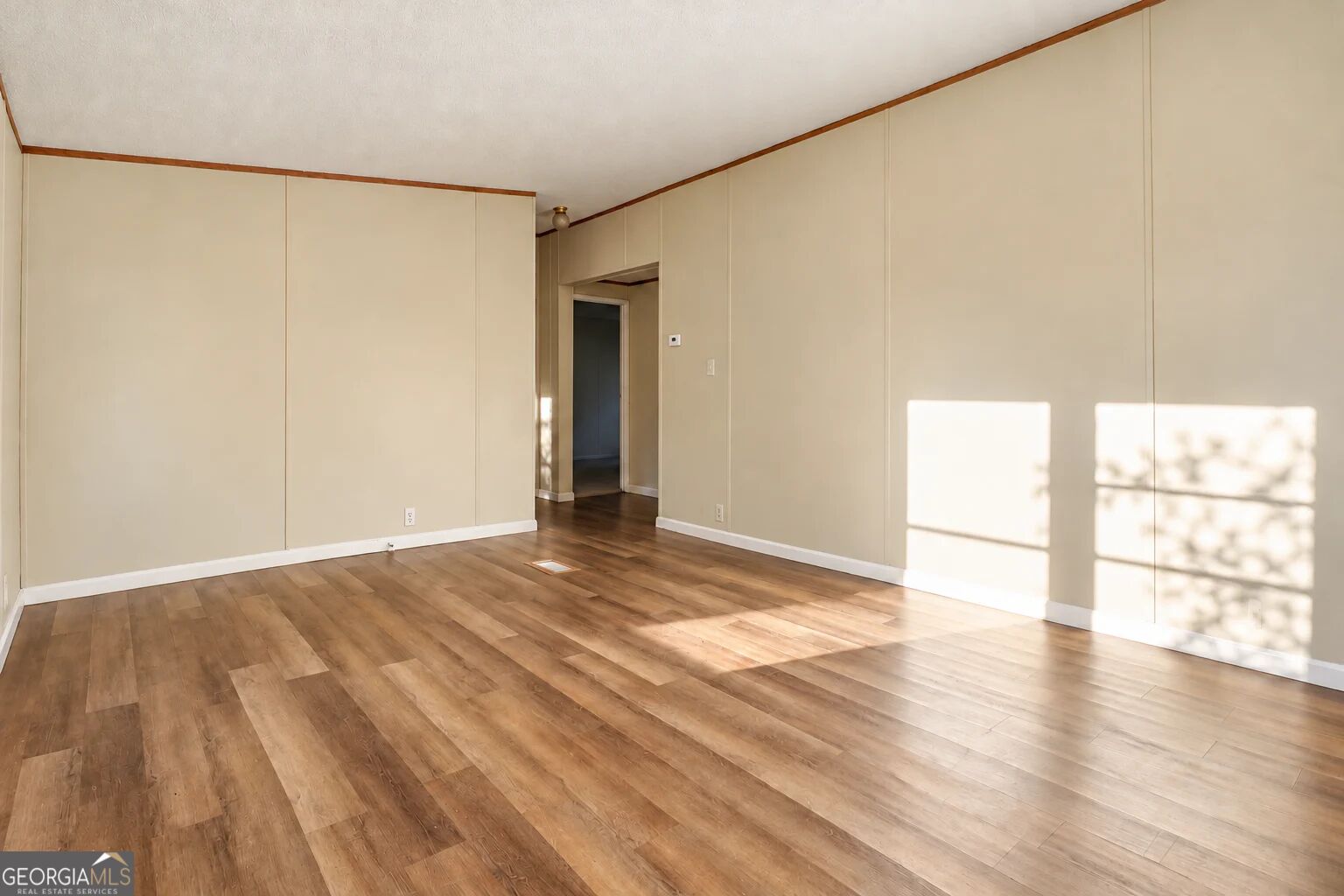 3593 B B Lane Millen GA 30442