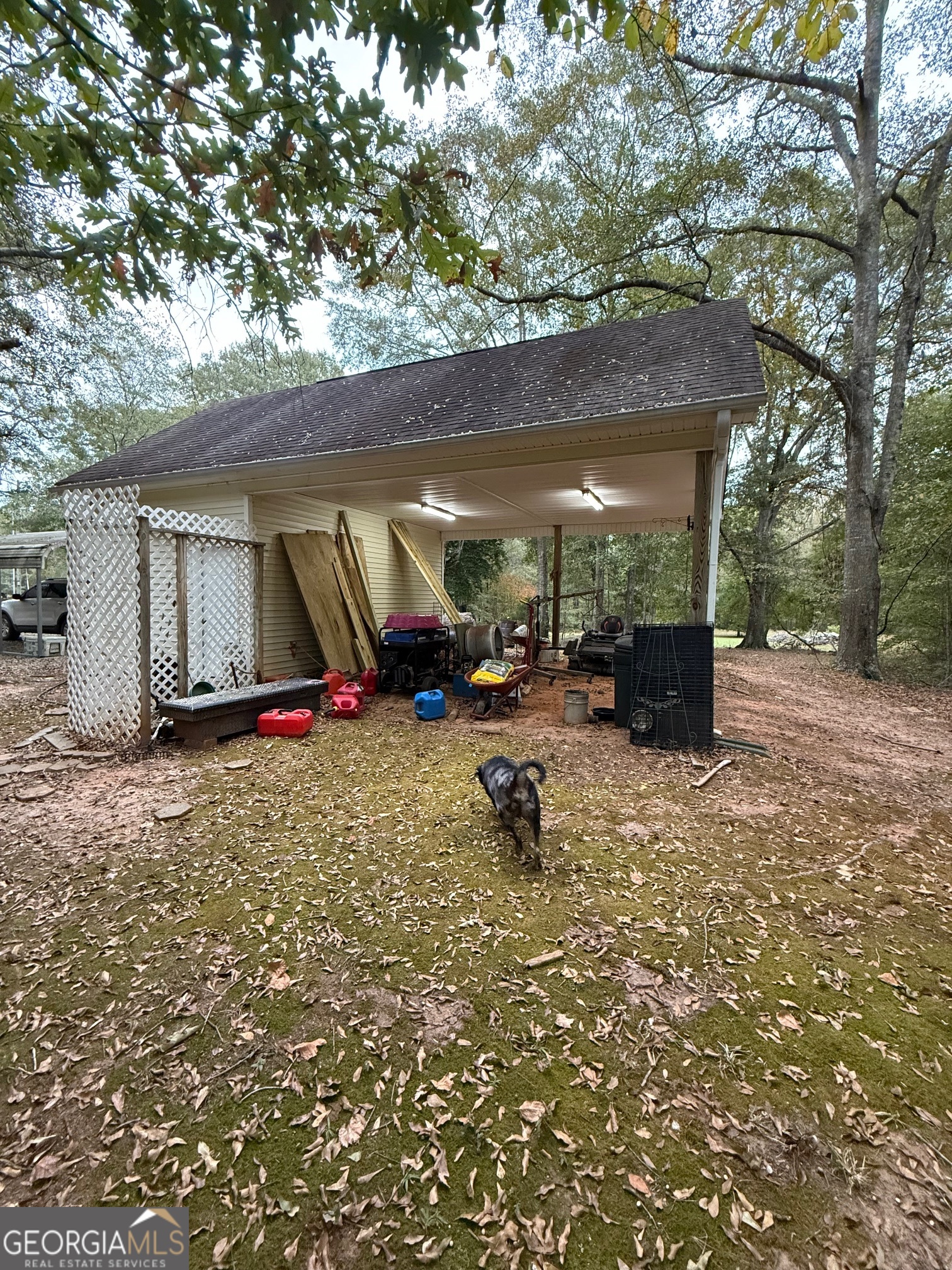 1216 Fern Road Woodbury GA 30293