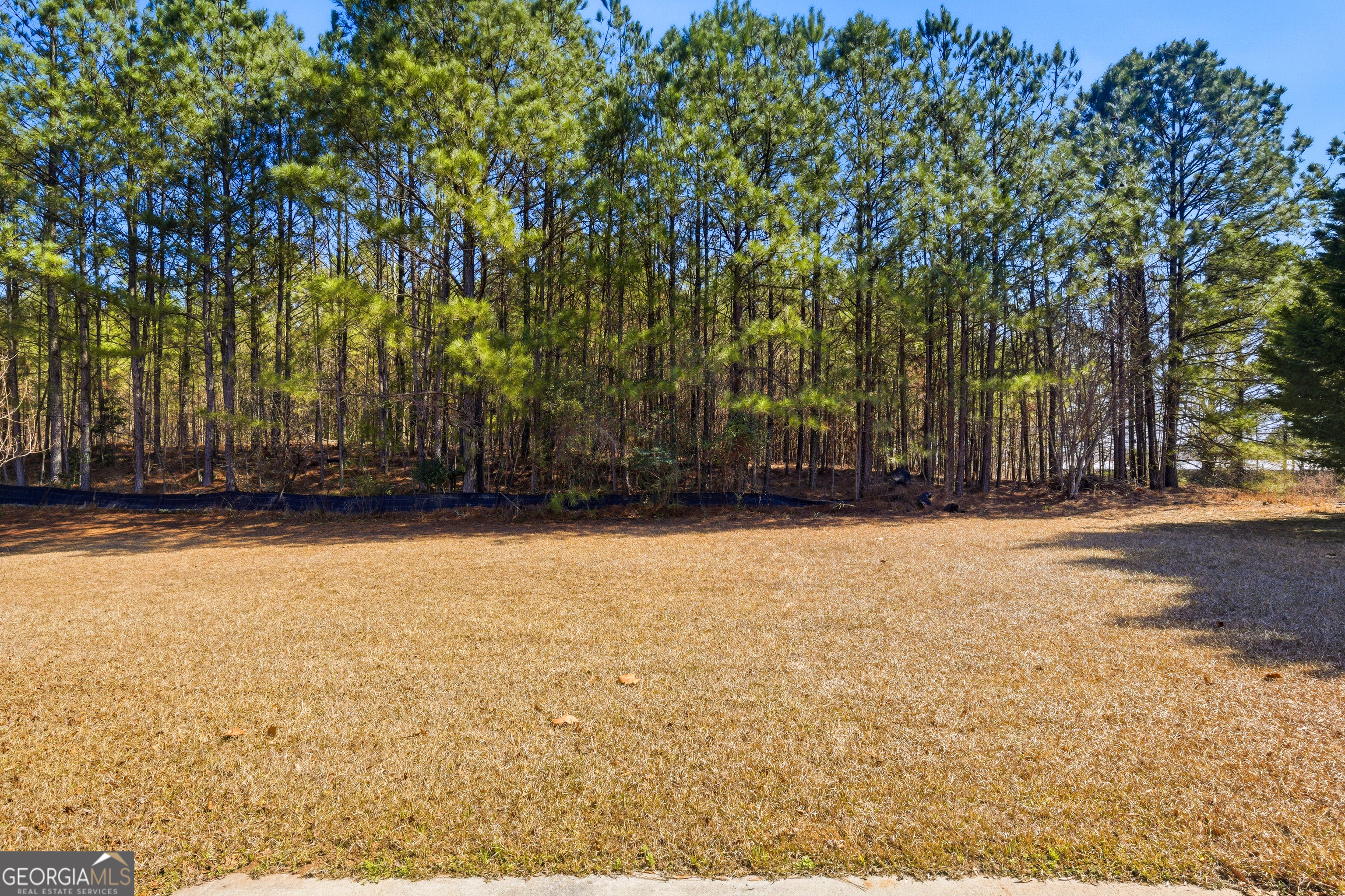 385 Registry Bluff Stone Mountain GA 30087