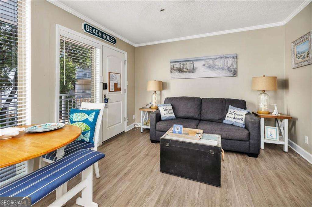 1175 N Beachview Drive Jekyll Island GA 31527